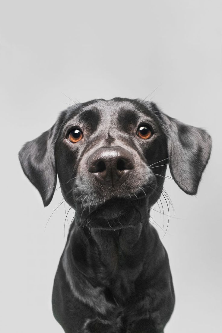 Sutton Larson's avatar